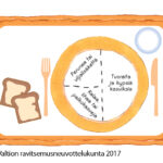 Lautasmalli, aikuinen